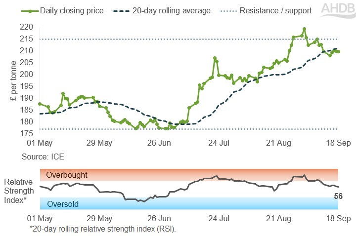 Line graph of UK feed futures Nov-26 contract prices over the past six months.